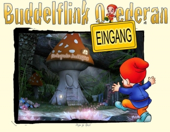 http://buddelflink-oederan.de