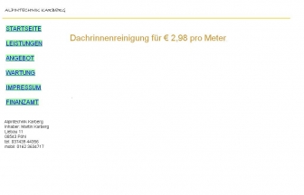 http://dachrinnenreinigung-plauen.de