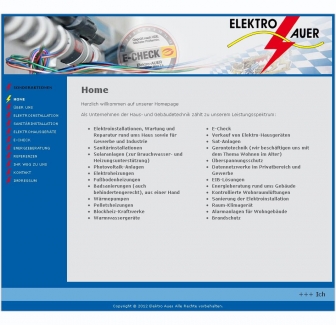 https://www.der-elektro-auer.de