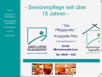 http://diepflegeprofis-koeppelle.de