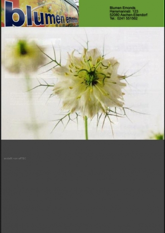 http://emonds-floristik.de