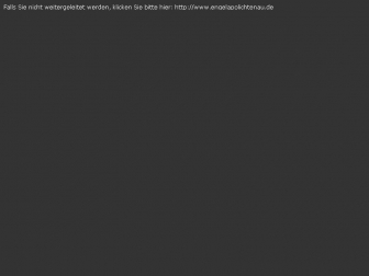 http://engelapolichtenau.de