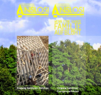 http://gansloser-holzbau.de