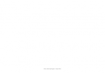 http://giantmind.de