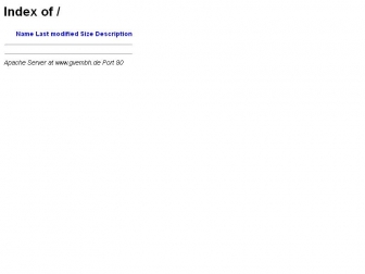 http://gvembh.de