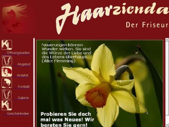 http://haarzienda.de