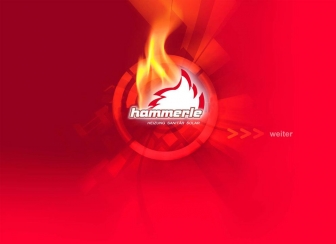 http://hammerle-kf.de