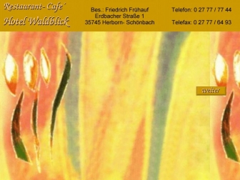 http://hotelwaldblick.de