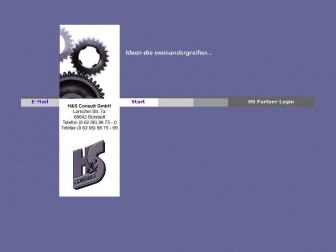 http://hs-consult.de