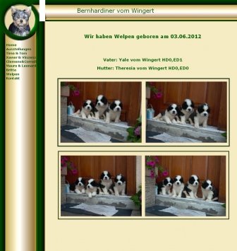 http://hunde-jung.weblico.de