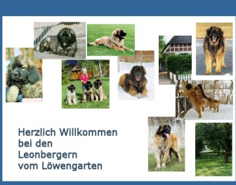 http://leonbergervomloewengarten.de