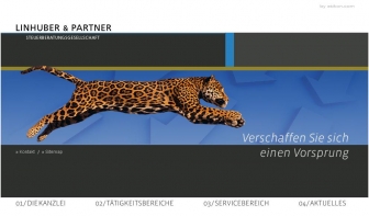 http://linhuber.de