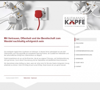 http://mainzer-consulting.de