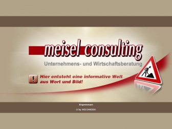 http://meiselconsulting.de