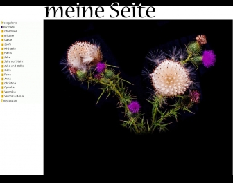 http://metip.de