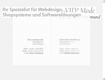 http://mz-consulting.de