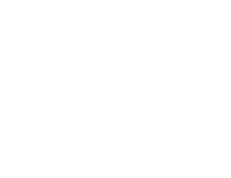 http://plinganser.de