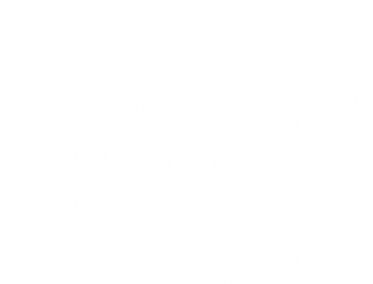 http://pro-medium.de