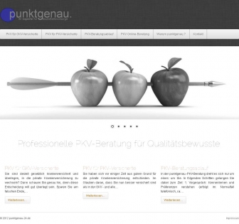 http://punktgenau-24.de