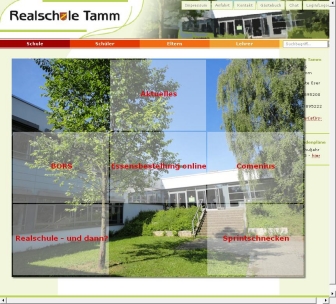 http://realschule-tamm.de