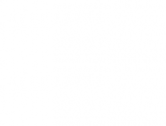http://rook.de