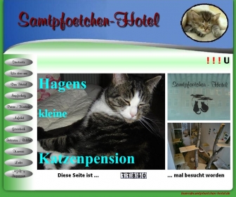 http://samtpfoetchen-hotel.de