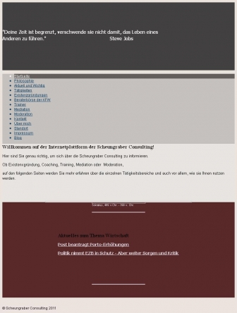 http://scheungraber-consulting.de