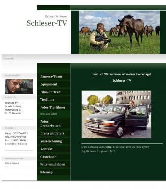 http://schleser-tv.de