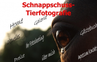 http://schnappschuss-tierfotografie.de