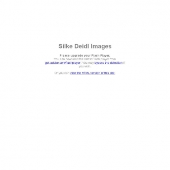 http://silkedeidl.com