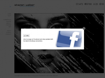 http://stefanweber.com