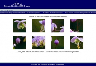 http://steindorf-gruppe.de