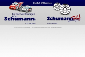http://sv-schumann.de