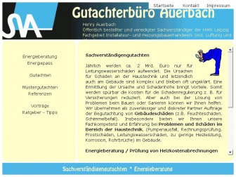 http://svbuero-auerbach.de