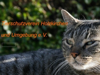 http://tierschutzverein-holzkirchen.de