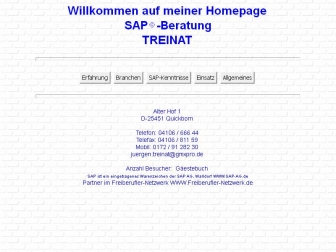 http://treinat-sap-beratung.de
