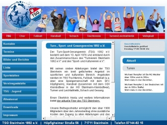 http://www.tsg-steinheim.de/